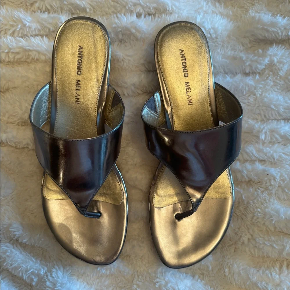 Antonio Melani Wedge Flip Flop